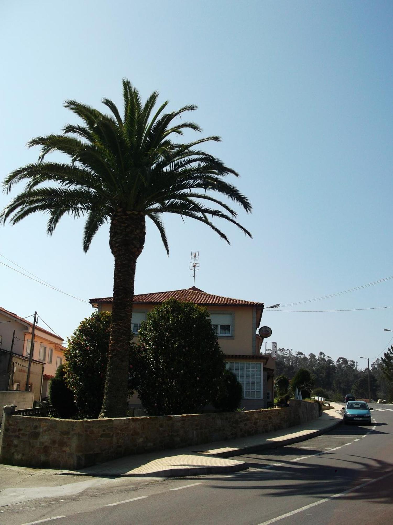 צה Hostal Pereirina מראה חיצוני תמונה