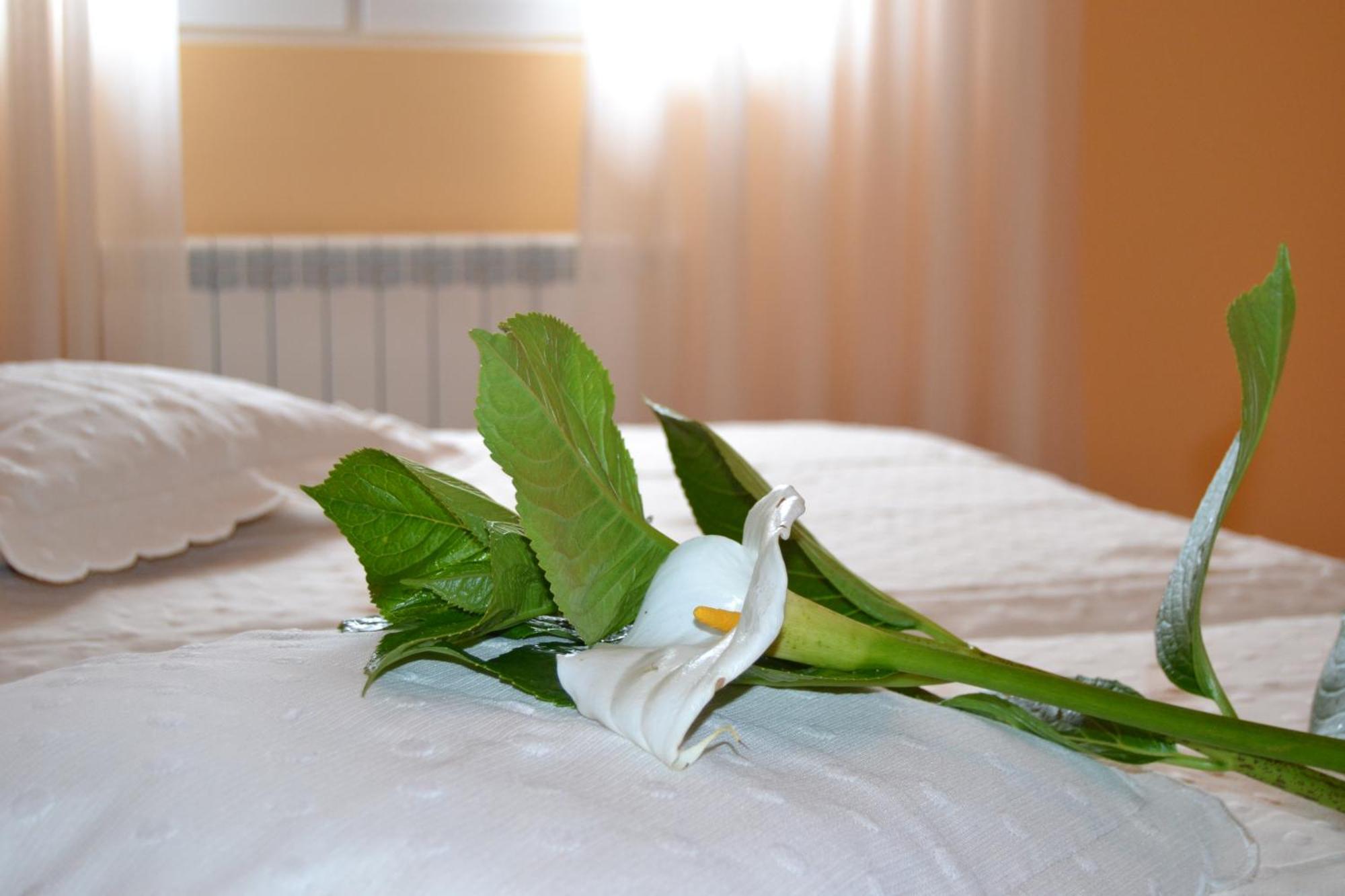 צה Hostal Pereirina חדר תמונה